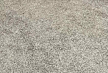 Photo of free Wool rug (Lane cove) #1