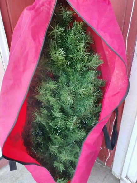 Photo of free Christmas Tree (Tacoma) #2