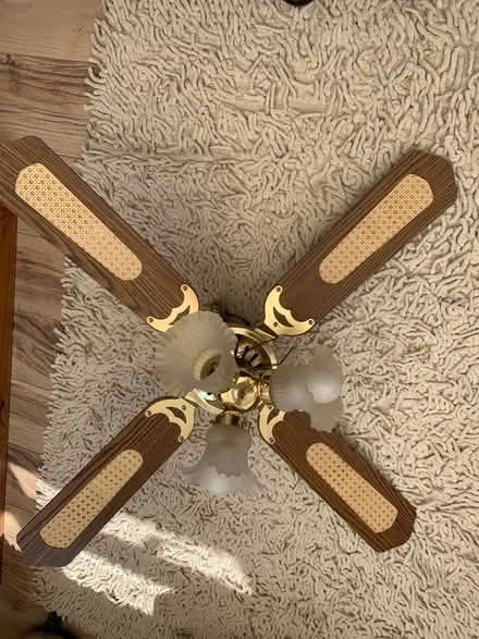 Photo of free Ceiling fan light (CO15) #1