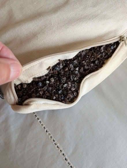Photo of free Brow Farm Organic Buckwheat Pillow (Mold CH7) #3