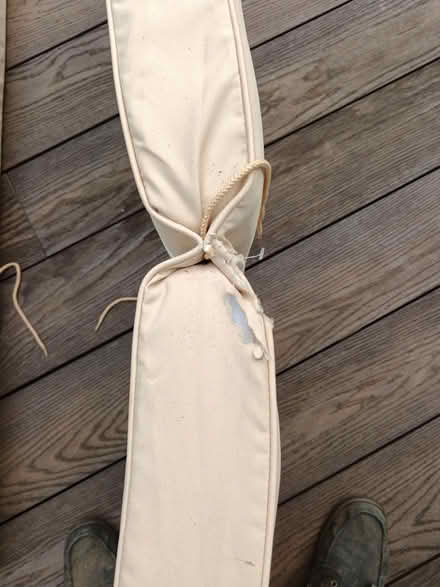 Photo of free Sun lounger cushions (Wistaston CW2) #2
