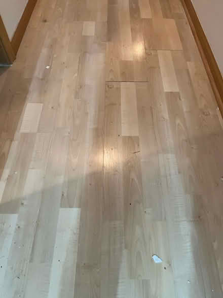 Photo of free Laminate flooring (carpentersville) #2