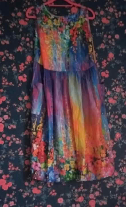 Photo of free Dress size 16 (Chapel Allerton LS7) #1
