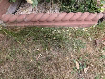 Photo of Rope Top Garden Edging Stones (Abingdon, OX14) #1