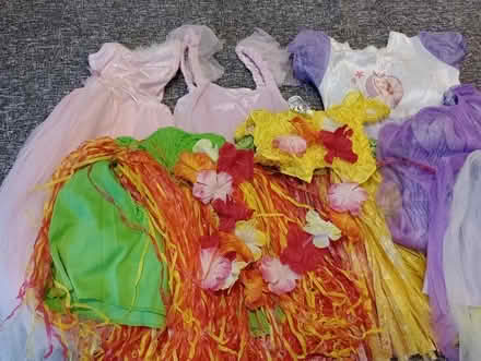 Photo of free Dressing up clothes (Nailsea BS48) #3