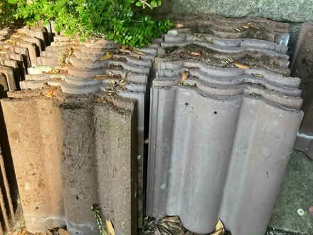 Photo of free Roof tiles (Charmouth DT6) #1