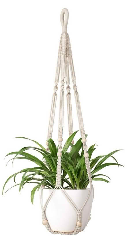 Photo of hanging plant holder (castro valley) #1