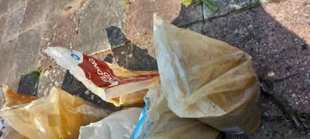 Photo of free Ballast and sand (Waterlooville PO8) #2
