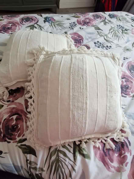 Photo of free Cushions x 2 (Park District G3) #1