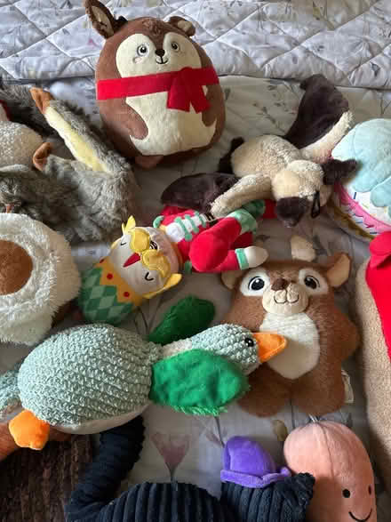 Photo of free Used Dog Toys (Drighlington BD11) #3