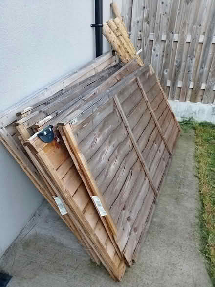 Photo of free 6 fencing panels. 5 posts (Tallaght) #1