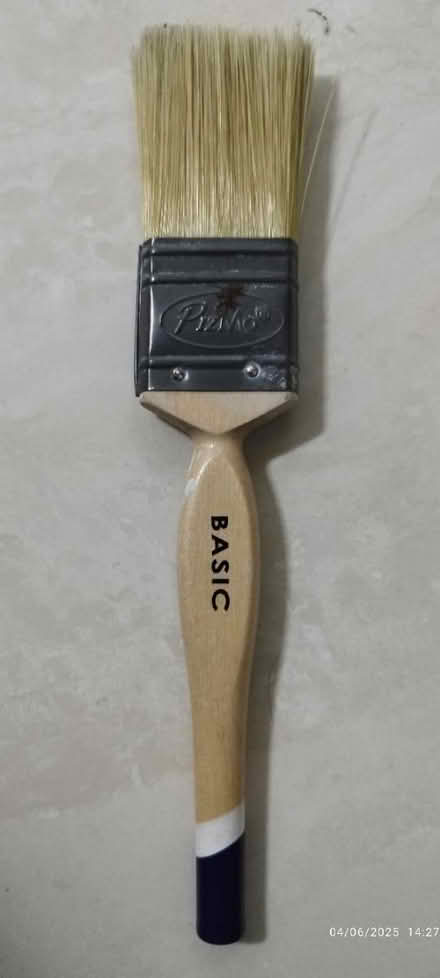 Photo of free Paintbrush (Tpy) #1