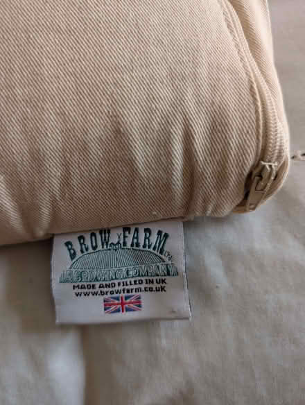 Photo of free Brow Farm Organic Buckwheat Pillow (Mold CH7) #2
