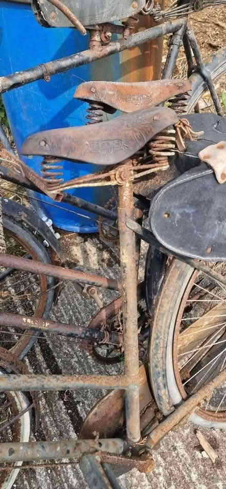 Photo of free 3 vintage bikes (Carrowdore BT22) #4