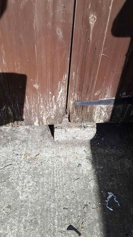 Photo of free Wooden garden shed 8' x 6' (Plumstead Common SE18) #2