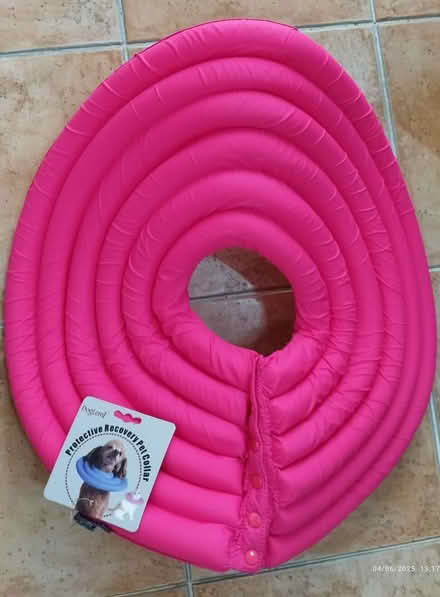 Photo of free Dog protection collar (Tpy) #1