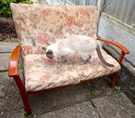 Photo of free Two seater bench seat (central support broken) (Kirkley NR33) #4