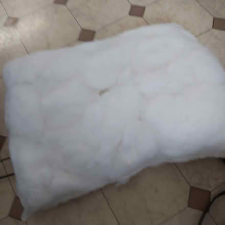 Photo of free Stuffing (Ramsden Heath CM11) #1