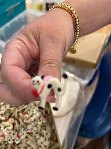 Photo of free Cat pins (BR1 Sundridge park) #2