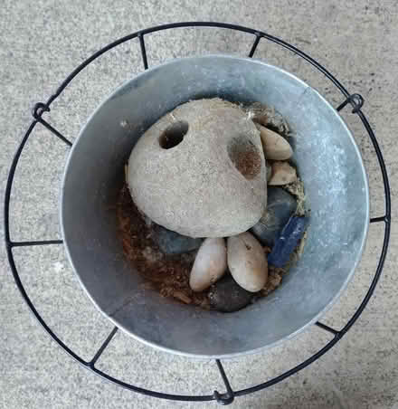 Photo of free Gardening Stuff (Tacoma) #2