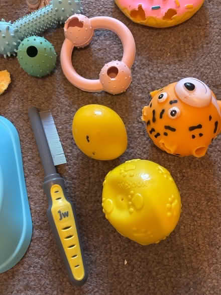 Photo of free Dog stuff (Selhurst) #3