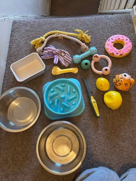 Photo of free Dog stuff (Selhurst) #1