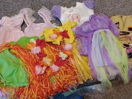 Photo of free Dressing up clothes (Nailsea BS48) #1