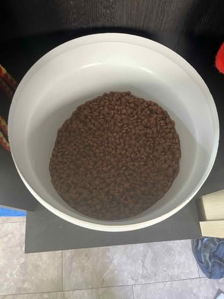 Photo of free Hill's Rx Diet k/d + j/d. Dog Food (North Long Beach) #1