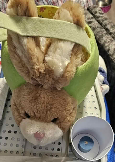 Photo of free Easter Bucket (ME13) #1