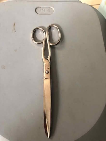 Photo of free Stainless Steel scissors (Westbury Wilts BA13) #1