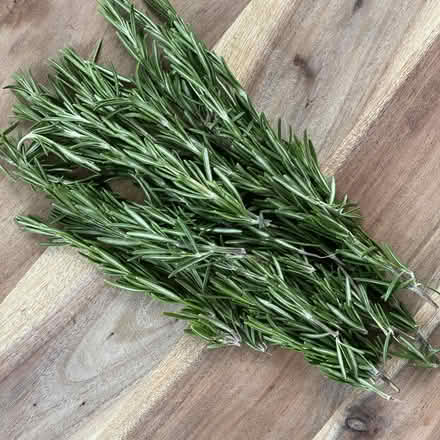 Photo of Rosemary leaves (Newtown RG1) #1