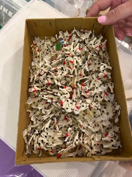 Photo of free Cat pins (BR1 Sundridge park) #1