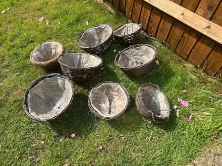 Photo of free 8 hanging baskets, ready to use (Petersfield, GU322JQ) #1