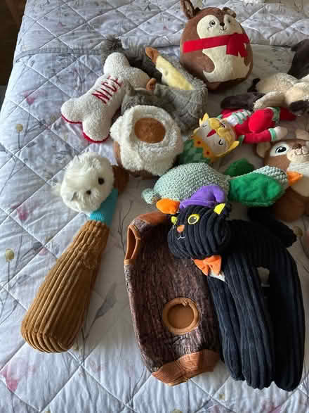 Photo of free Used Dog Toys (Drighlington BD11) #4