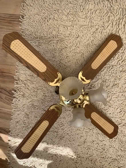 Photo of free Ceiling fan light (CO15) #2