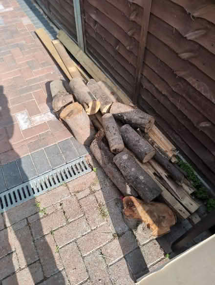 Photo of free Pile of logs (Woodley RG5) #2