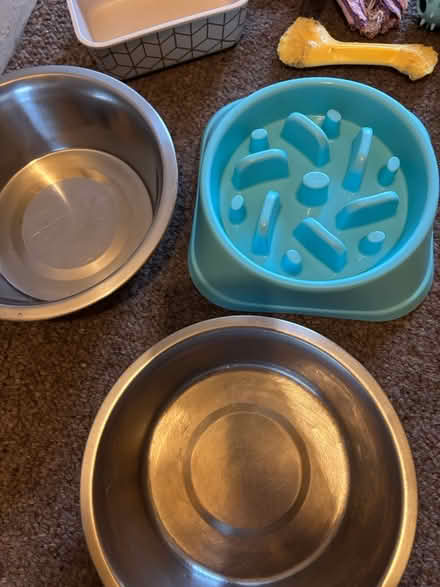 Photo of free Dog stuff (Selhurst) #2