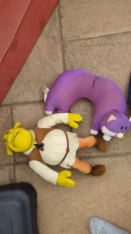 Photo of free Shrek Teddy & Cat Neck Pillow (DA2) #1