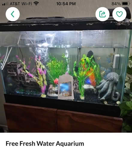 Photo of free Freshwater fish tank & Fish (East Valley, Gilbert) #1