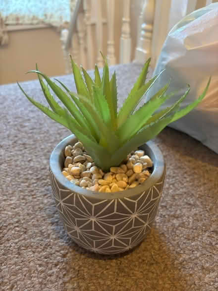 Photo of free Fake plant (Selhurst) #1