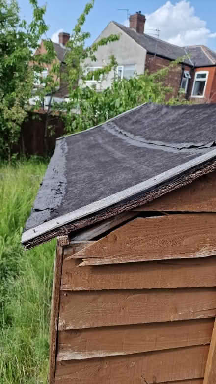 Photo of free Wooden Shed (M40 Harpurhey) #4