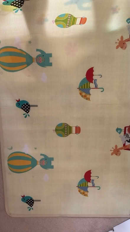 Photo of free Baby play mat (Newton Leys) #2