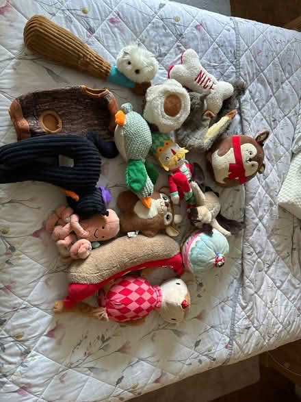 Photo of free Used Dog Toys (Drighlington BD11) #1