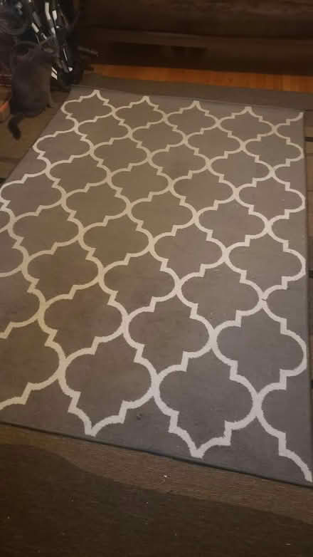 Photo of free Rug (Kirkwood) #1