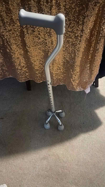 Photo of free Quad Cane (Cheshunt En8) #1