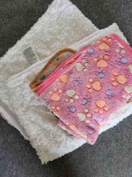 Photo of free Dog blankets (Horsham) #1