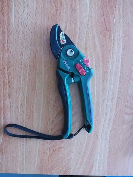 Photo of free Secateurs (Patchway BS34) #1