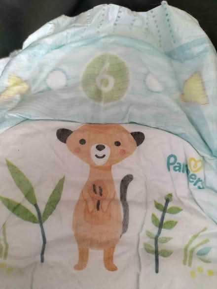 Photo of free Pull-ups, nappies and toy (Belfast BT11) #2