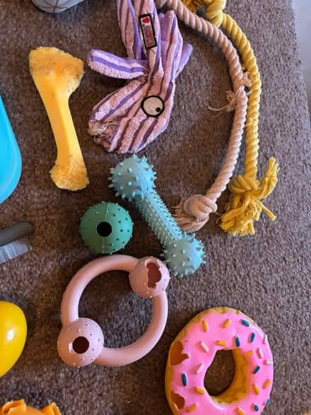 Photo of free Dog stuff (Selhurst) #4