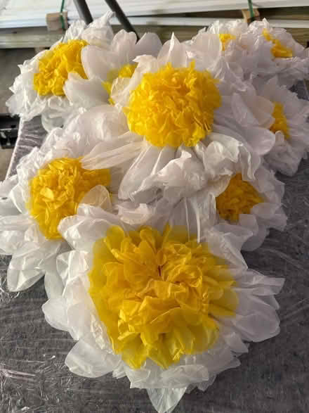 Photo of free Paper Daisies and Paper Lanterns (New Market, Md Lake Linganore) #1